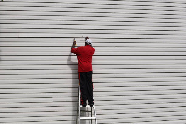 Best Siding Painting and Refinishing  in Lakefield, MN